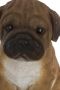 Myflair Möbel & Accessoires Decoratief figuur Mop Hond bruin zittend woonkamer - Thumbnail 3