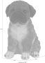 Myflair Möbel & Accessoires Decoratief figuur Mop Hond bruin zittend woonkamer - Thumbnail 4