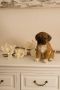 Myflair Möbel & Accessoires Decoratief figuur Mop Hond bruin zittend woonkamer - Thumbnail 5