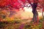 Papermoon Fotobehang Autumn Trees - Thumbnail 2