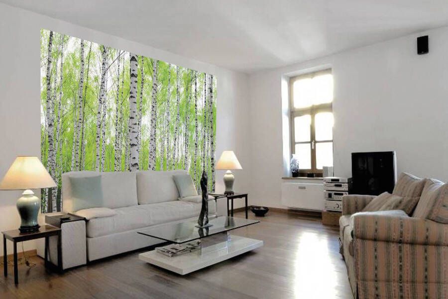Papermoon Fotobehang Birch forest Vlies 5 banen 250 x 180 cm (5-delig)