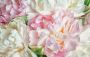 Papermoon Fotobehang Blooming Peonies - Thumbnail 2