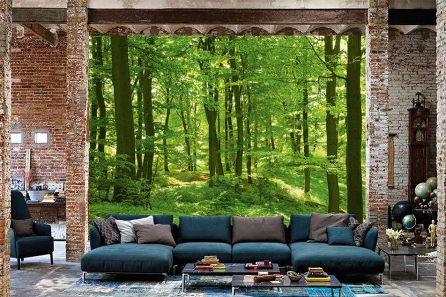 Papermoon Fotobehang Forest In scheerlijn