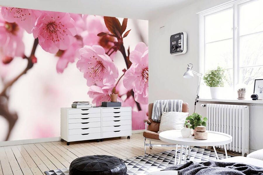 Papermoon Fotobehang Peach blossom