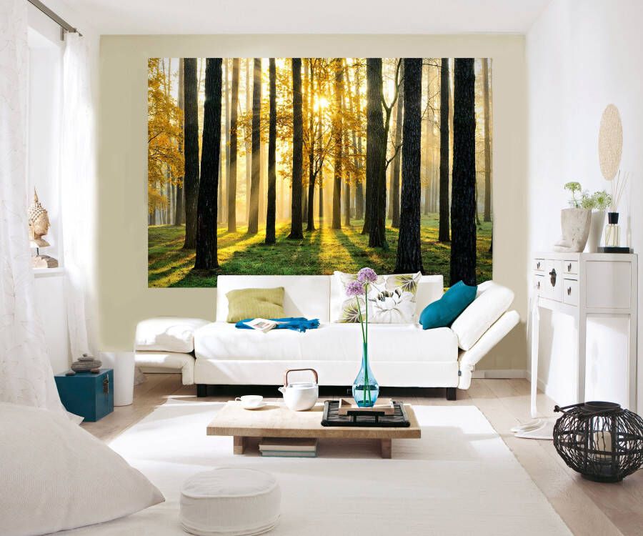 Papermoon Fotobehang Sunny forest Vlies 5 banen 250 x 180 cm (5-delig)