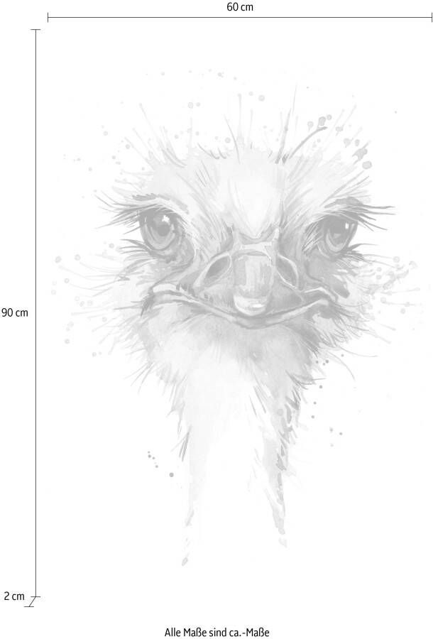 queence Artprint op linnen Struisvogel