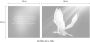 Queence Artprint op linnen Vredesduif Premium canvasstof handgemaakt in Duitsland citaat 2-delige set (set) - Thumbnail 3