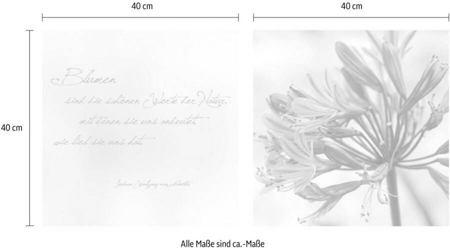 queence Artprint op linnen Woorden van de natuur Premium canvasstof handgemaakt in Duitsland citaat 2-delige set (set)