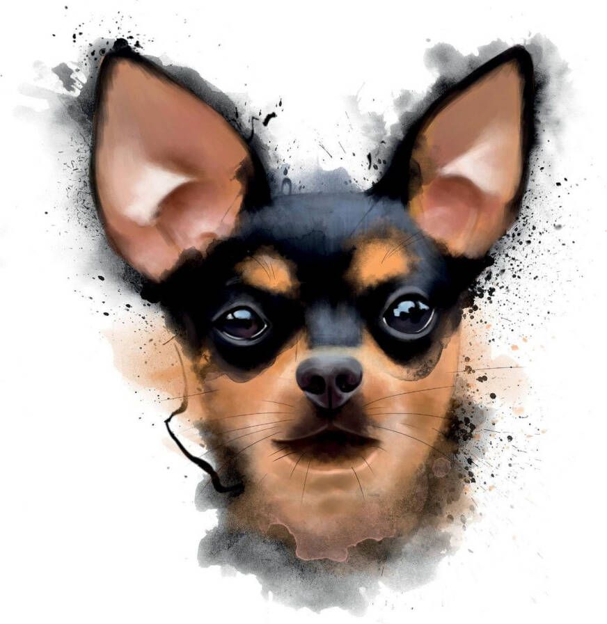 queence Sierkussen Dwergpinscher Kussenovertrek zonder vulling(1 stuk)