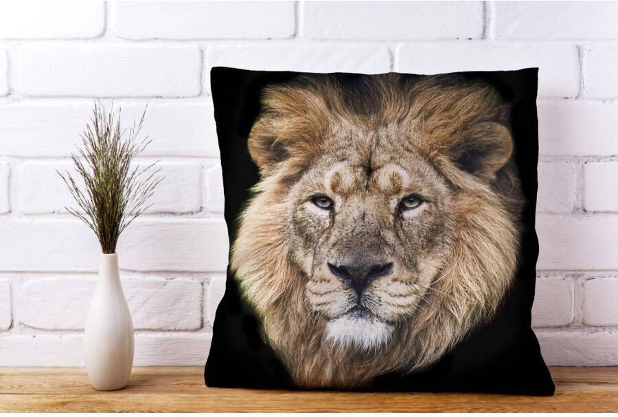 queence Sierkussen FRANK Kussenhoes leeuw dierenmotief wild dier majestueus natuurmotief krachtig (1 stuk)
