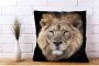 Queence Sierkussen FRANK Kussenhoes leeuw dierenmotief wild dier majestueus natuurmotief krachtig (1 stuk) - Thumbnail 4