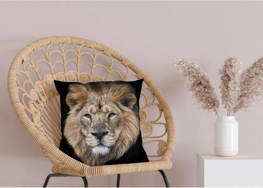 queence Sierkussen FRANK Kussenhoes leeuw dierenmotief wild dier majestueus natuurmotief krachtig (1 stuk)