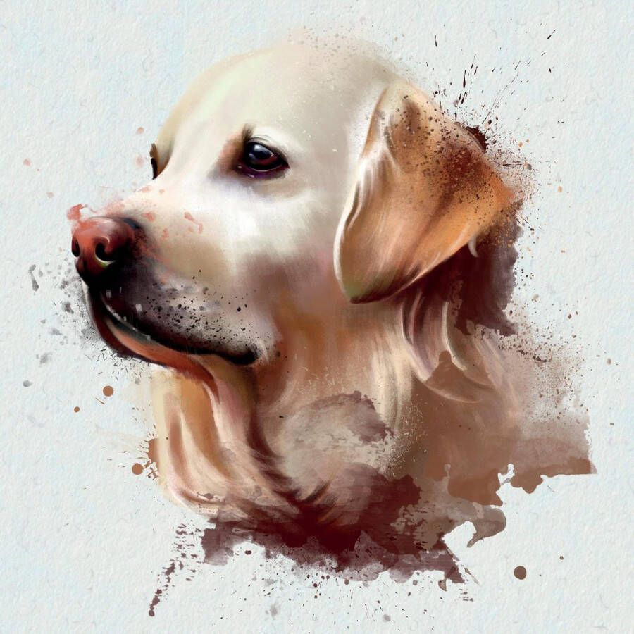 queence Sierkussen Golden Retriever Kussenovertrek zonder vulling(1 stuk)