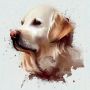Queence Sierkussen Golden Retriever Kussenovertrek zonder vulling(1 stuk) - Thumbnail 2