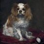 Queence Sierkussen Hond (1 stuk) - Thumbnail 2
