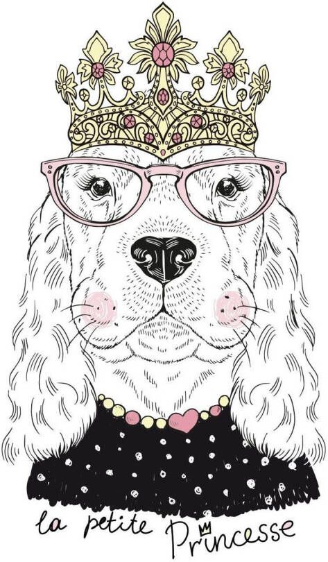 queence Sierkussen Hond Kussenovertrek zonder vulling(1 stuk)