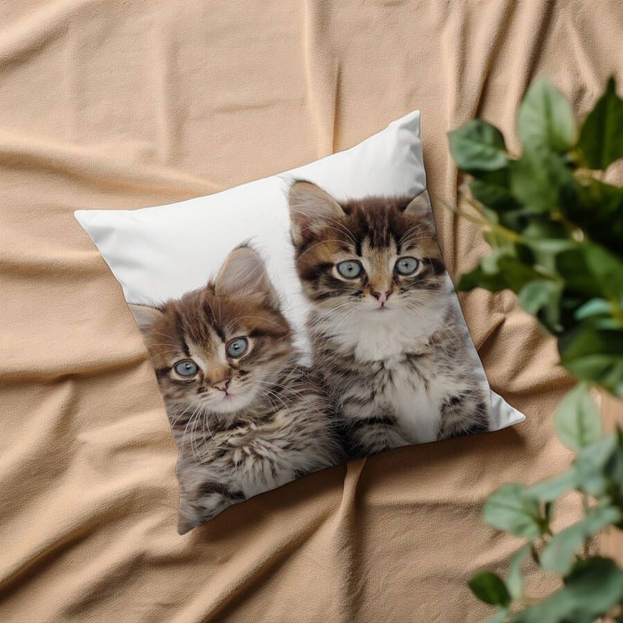 queence Sierkussen Patrick Kussenhoes katten dierenmotief schattig speels huisdieren decoratief (1 stuk)