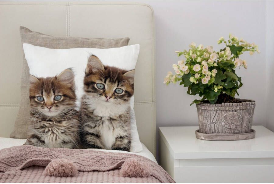 queence Sierkussen Patrick Kussenhoes katten dierenmotief schattig speels huisdieren decoratief (1 stuk)