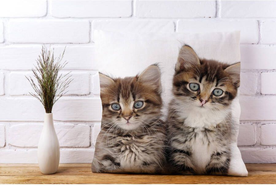 queence Sierkussen Patrick Kussenhoes katten dierenmotief schattig speels huisdieren decoratief (1 stuk)