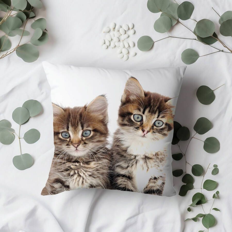 queence Sierkussen Patrick Kussenhoes katten dierenmotief schattig speels huisdieren decoratief (1 stuk)