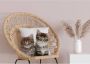 Queence Sierkussen Patrick Kussenhoes katten dierenmotief schattig speels huisdieren decoratief (1 stuk) - Thumbnail 7