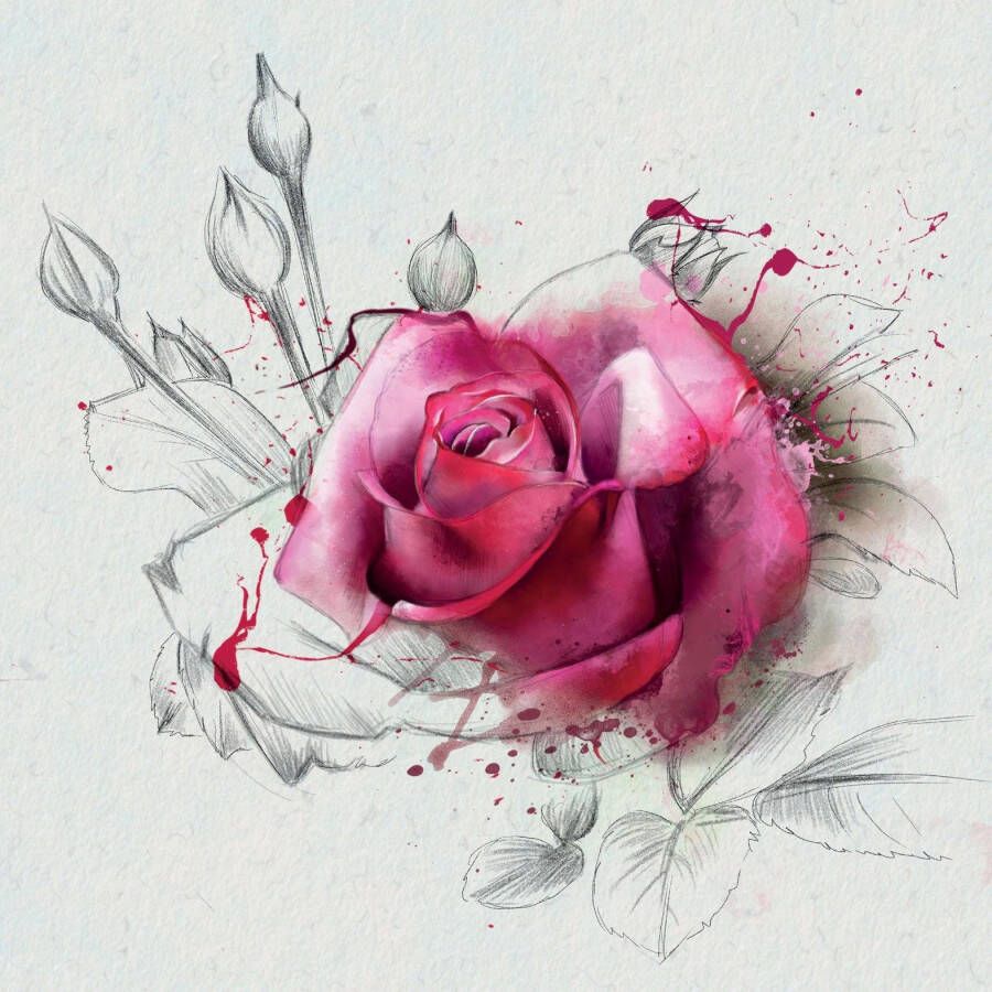 queence Sierkussen Rose bloesem (1 stuk)