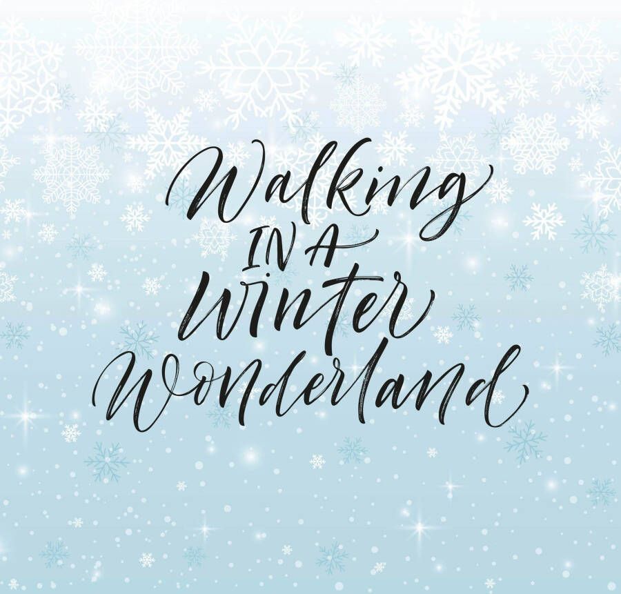 queence Sierkussen Winter Wonderland Kussenovertrek zonder vulling(1 stuk)