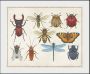 Queence Wanddecoratie A Bug's Life (1 stuk) - Thumbnail 2