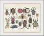 Queence Wanddecoratie A Bug's Life 2 (1 stuk) - Thumbnail 2
