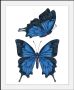 Queence Wanddecoratie Amanda HD premium posterdruk incl. houten lijst (1 stuk) - Thumbnail 2