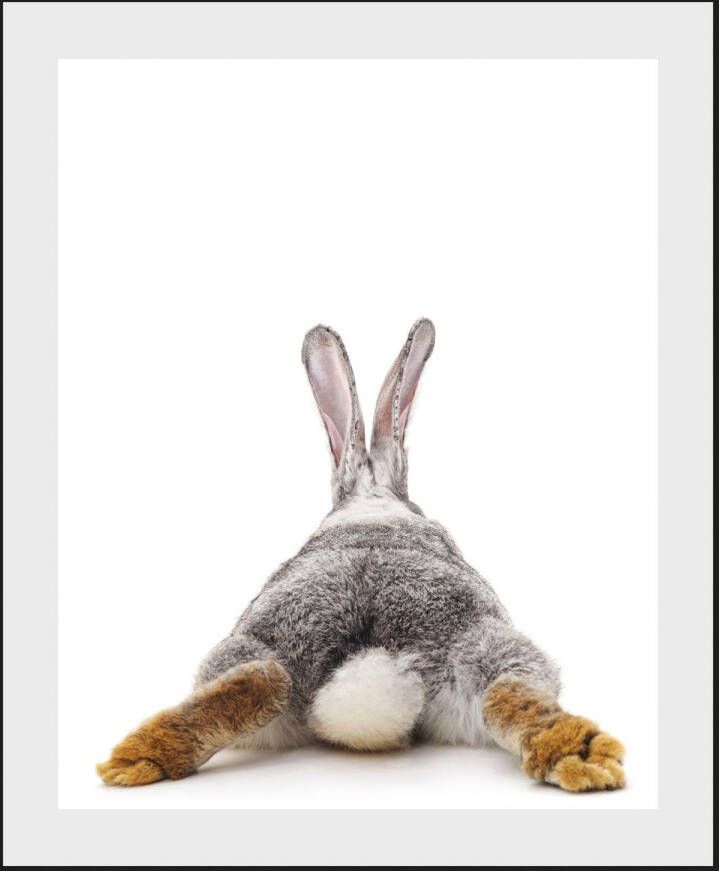 queence Wanddecoratie Bunny tail HD premium posterdruk incl. houten lijst (1 stuk)