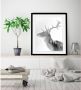 Queence Wanddecoratie Edelhert HD premium posterdruk incl. houten lijst - Thumbnail 2