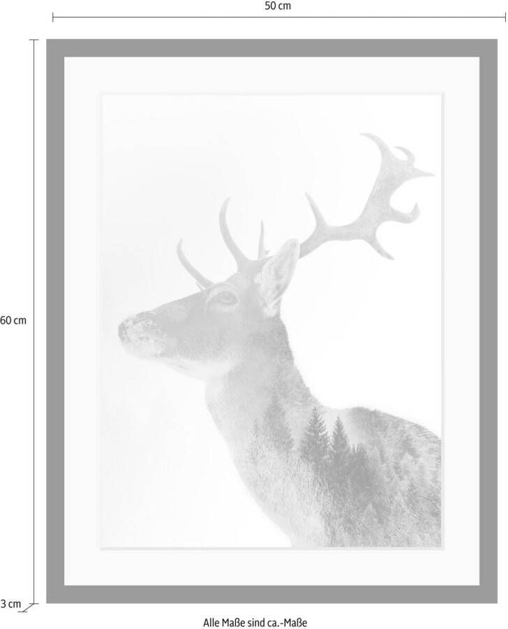 queence Wanddecoratie Edelhert HD premium posterdruk incl. houten lijst