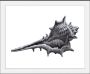 Queence Wanddecoratie Lasse HD premium posterdruk incl. houten lijst (1 stuk) - Thumbnail 2