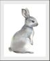 Queence Wanddecoratie MILLIE HD premium posterdruk incl. houten lijst (1 stuk) - Thumbnail 2