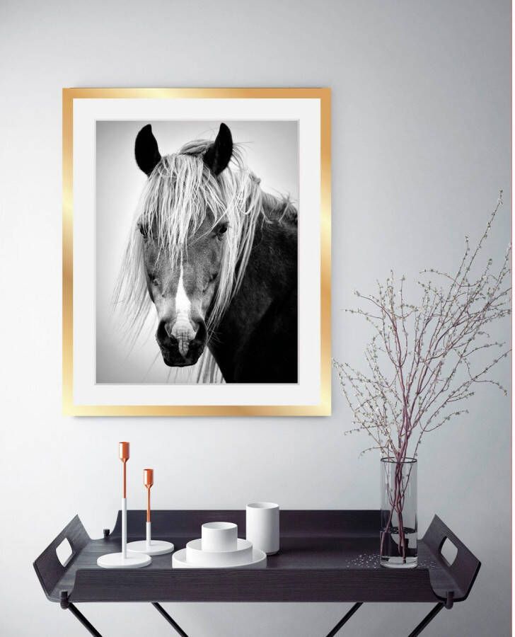 queence Wanddecoratie Paardenkop HD premium posterdruk incl. houten lijst in zwart