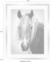 Queence Wanddecoratie Paardenkop HD premium posterdruk incl. houten lijst in zwart - Thumbnail 3