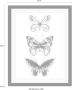 Queence Wanddecoratie Vlinders HD premium posterdruk incl. houten lijst - Thumbnail 5