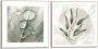 Reinders! Artprint Dauwdruppel botanisch blaadjes abstract natuur (2-delig) - Thumbnail 2