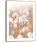 Reinders! Artprint met lijst Cotton Pops - Thumbnail 2