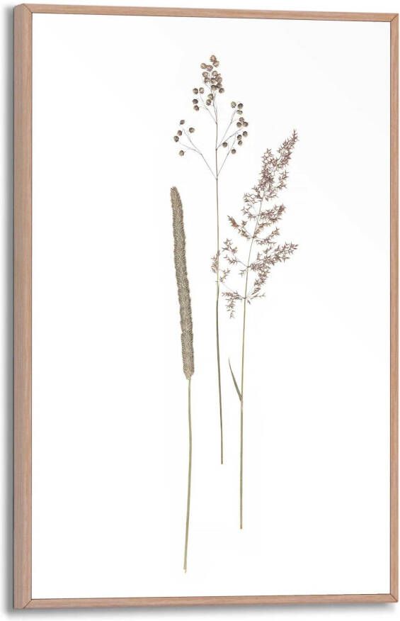 Reinders! Artprint met lijst Dried Flowers