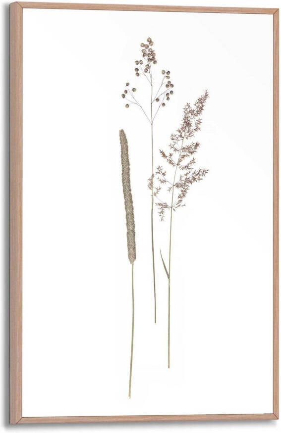 Reinders! Artprint met lijst Dried Flowers