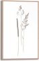 Reinders! Artprint met lijst Dried Flowers - Thumbnail 2