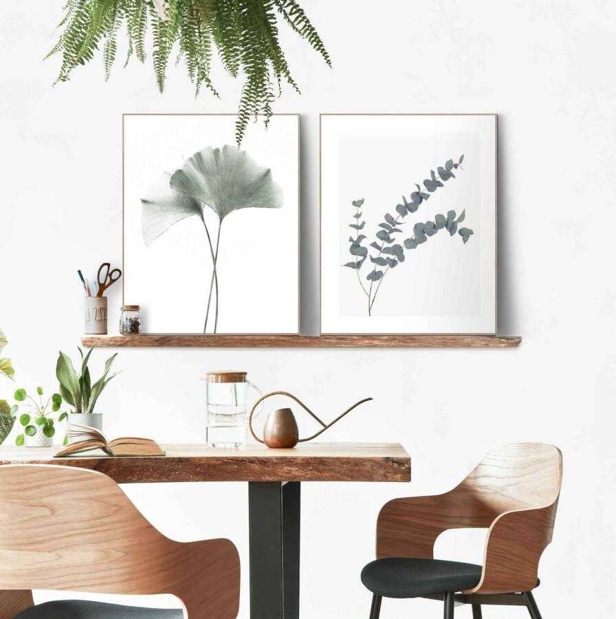 Reinders! Artprint met lijst Eucalyptusblad plant Ginko natuurmotief botanisch (2-delig)