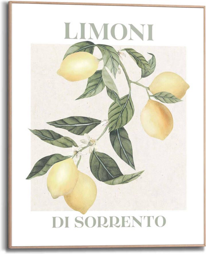 Reinders! Artprint met lijst Limoni