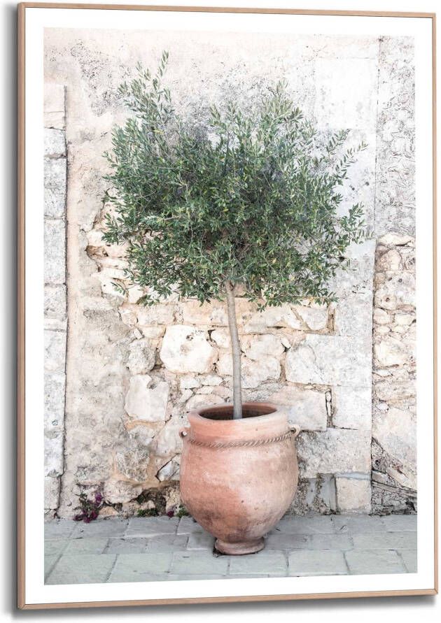 Reinders! Artprint met lijst Olive tree