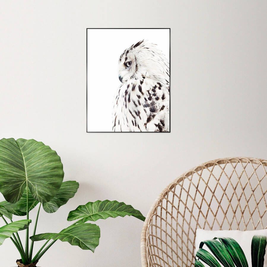 Reinders! Artprint met lijst White Owl