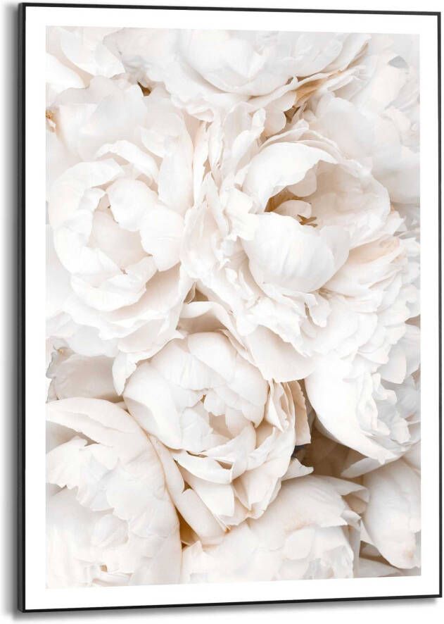 Reinders! Artprint met lijst White Roses