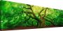 Reinders! Artprint op hout Deco-block 40x118 Old Oak - Thumbnail 3