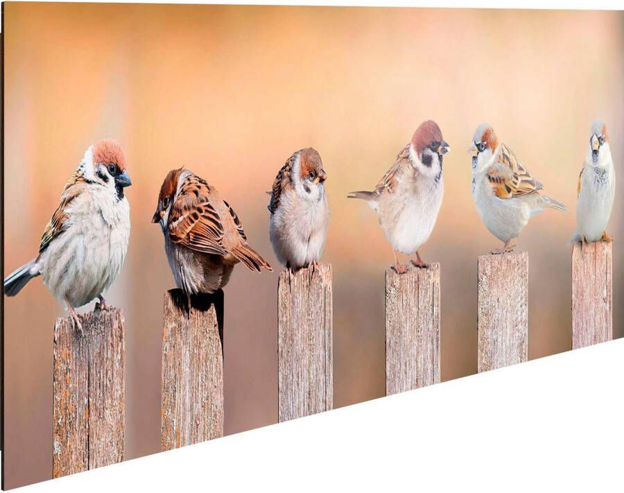 Reinders! Artprint op hout Decoratief paneel 30x90 Bird Family